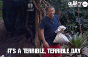 imacelebrityau GIF by I'm A Celebrity... Get Me Out Of Here! Australia