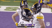 Pittsburgh Steelers Football GIF by NFL