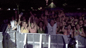 Excited Cheering GIF by Bonnaroo Music and Arts Festival