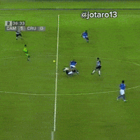 Galo Doido GIF