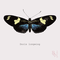 Beauty Fluttering GIF