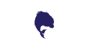 piranhaswimteam team swimming swim piranha Sticker