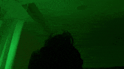 season 2 GIF by ScreamQueens