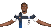 Euro Cup Football Sticker by Huuhkajat