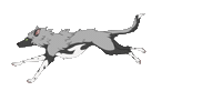 Animation Run Sticker