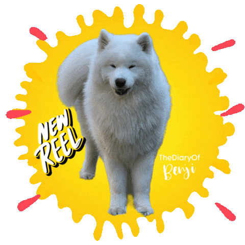 Sticker Laugh Sticker