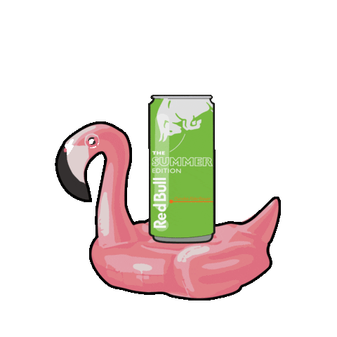 Pool Party Summer Sticker by Red Bull