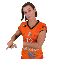 Volley Sticker by NUCVolleyball