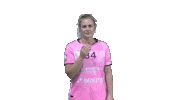 NAHB_officiel handball nantes lbe nahb Sticker