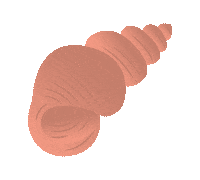 Animation Summer Sticker