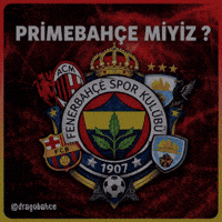 Fenerbahce GIF