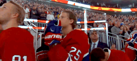 montreal canadiens GIF