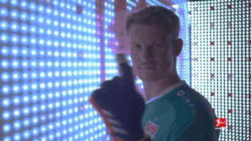 Vfb Stuttgart No GIF by Bundesliga