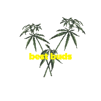 weed marijuana Sticker by Coveteur