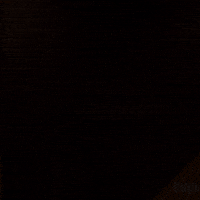 Happy Belgian Beer GIF by Belgo Belgian Craft Beer Brewery