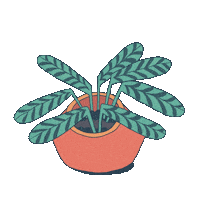 ashnicdel plant houseplant prayer plant ashnicdel Sticker