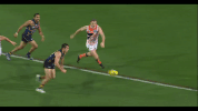 afl GIF by Adelaide Crows