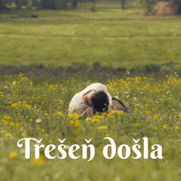 zamilovanact libani GIF by Česká televize