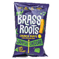 Snacking New Orleans Sticker by Brass Roots