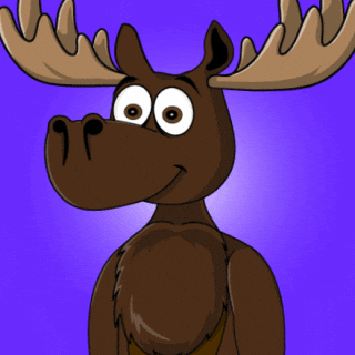 DoYouMoose giphyupload eyes looking web3 GIF