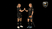 Floorball Salibandy GIF by F-liiga