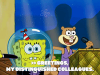 season 6 gullible pants GIF by SpongeBob SquarePants
