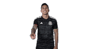 mexico national team no Sticker by MiSelecciónMX