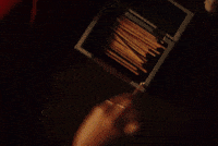 Kura Kura Momo GIF
