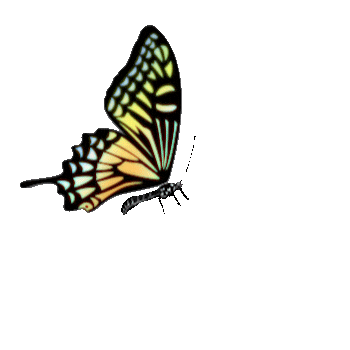 Girl Butterfly Sticker by Arata