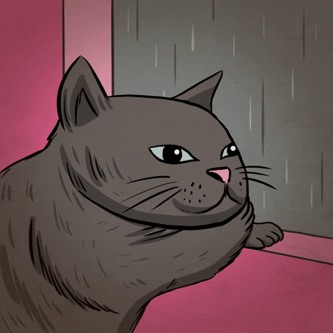 GIF by Holly Pereira