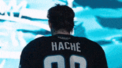 San Jose Celebration GIF by San Jose Barracuda