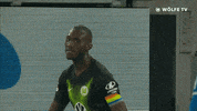Soccer Bundesliga GIF by VfL Wolfsburg