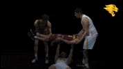 Cuc GIF by CUCougars