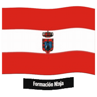 Santa Cruz De Tenerife Flag Sticker by Formación Ninja