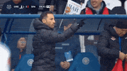 Football Sport GIF by FC Spartak Moscow