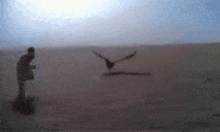 Full Send Fast Running GIF