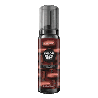 Color Blow Dry Sticker by Matrix