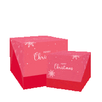 Christmas Sticker by dulcefina