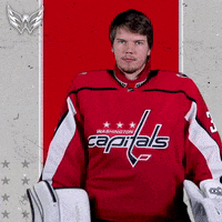Save Stanley Cup GIF by Capitals