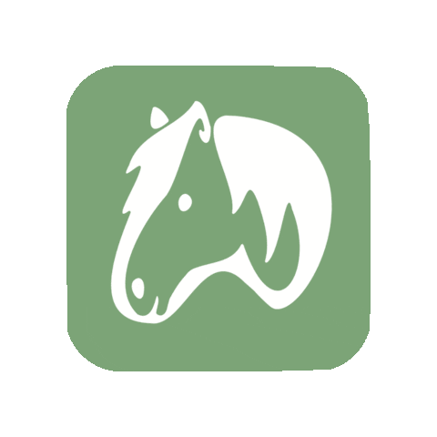 hoyfeldfumiapp giphygifmaker horse pony pferd Sticker