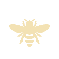 Bee Honey Sticker by Bednight Stories