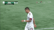 Liga Mx Football GIF by MiSelecciónMX