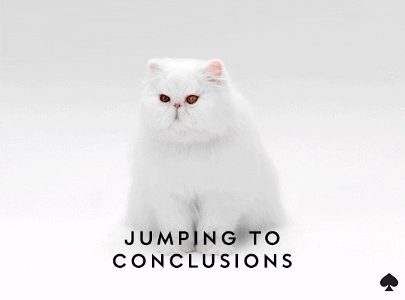 white cat GIF by kate spade new york