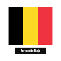 Belgium Flag Sticker by Formación Ninja