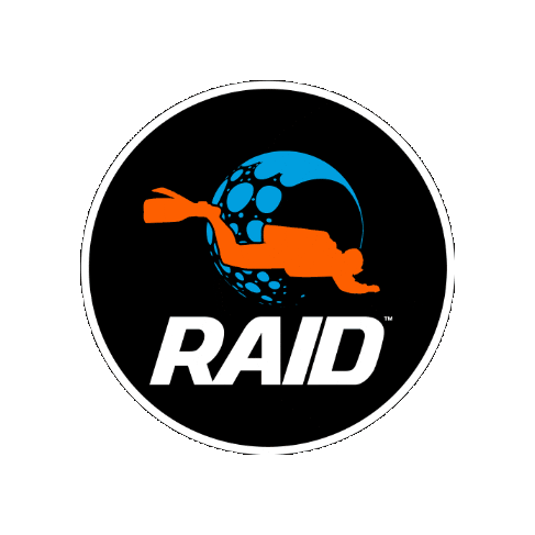 DiveRaid giphygifmaker community dive diving Sticker