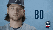 Major League Baseball GIF by Sportsnet