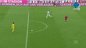 Bayern Munchen Bundesliga GIF by MolaTV