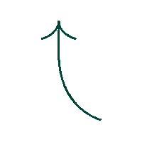 Walking Shoes Sticker by Walk Fulton