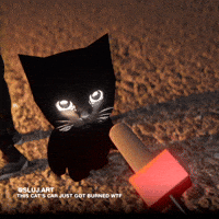 Bro Gif GIF