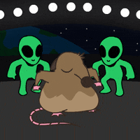 Happy Dance GIF